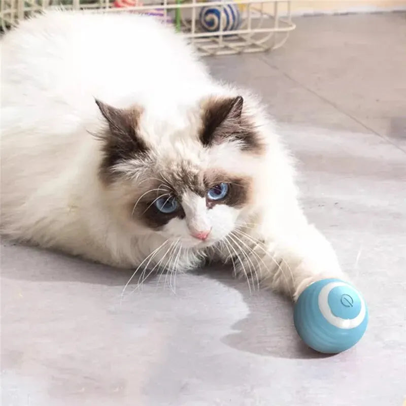 Fabehe Cat Toy - Indoor Automatic Rolling Magic Ball