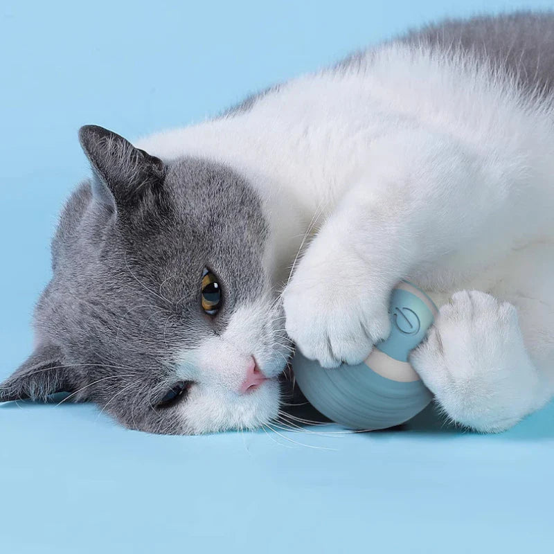 Fabehe Cat Toy - Indoor Automatic Rolling Magic Ball