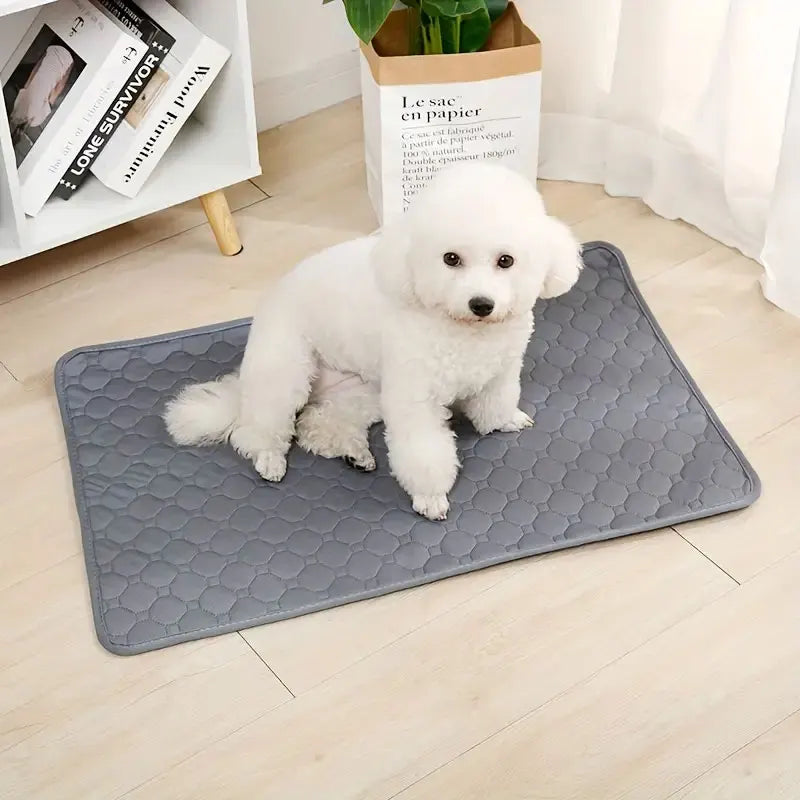 Washable Pet Mat