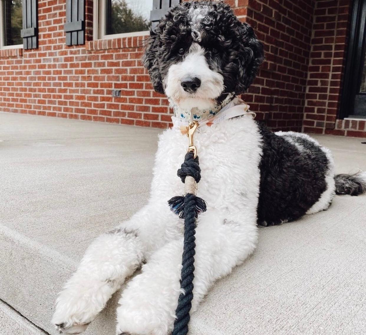 ROPE LEASH - EMERALD
