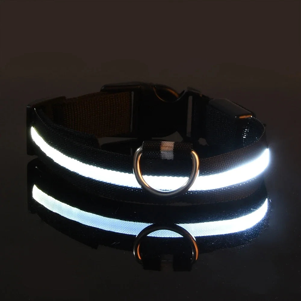 LED Nylon Dog Leash & Collar Set – Glow-in-the-Dark Flashing Pet Gear for Night Safety