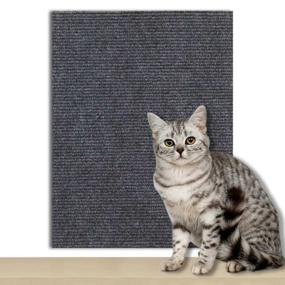 DIY Universal Cat Scratch Guard