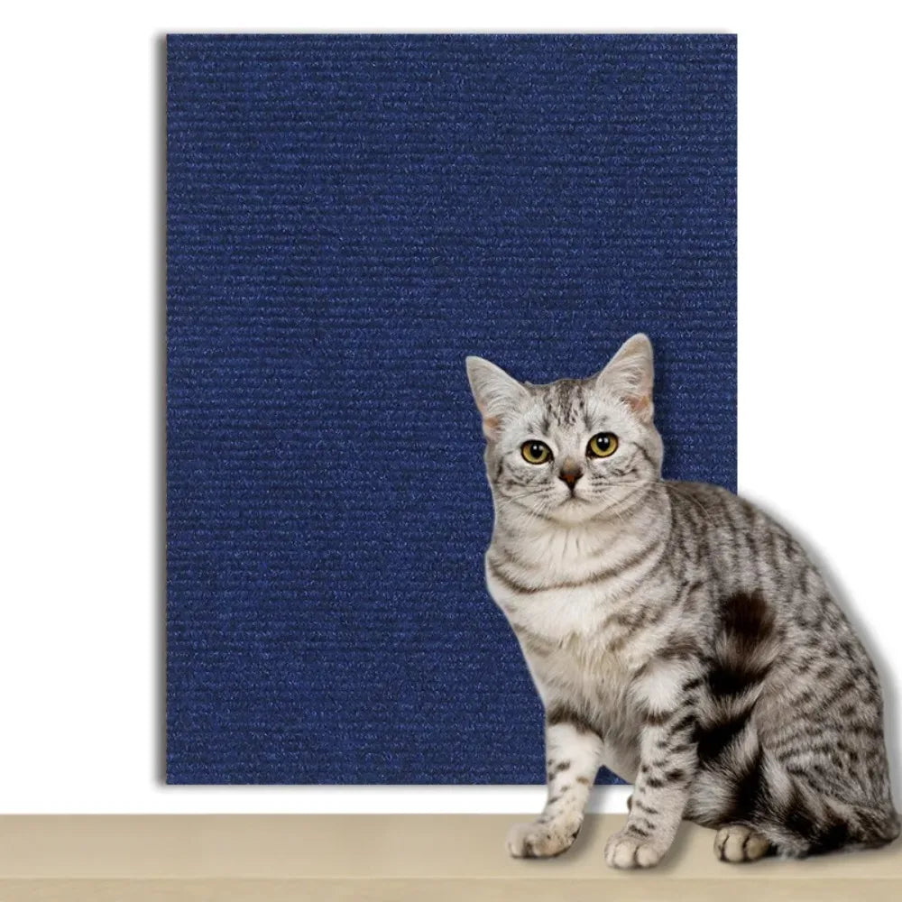 DIY Universal Cat Scratch Guard