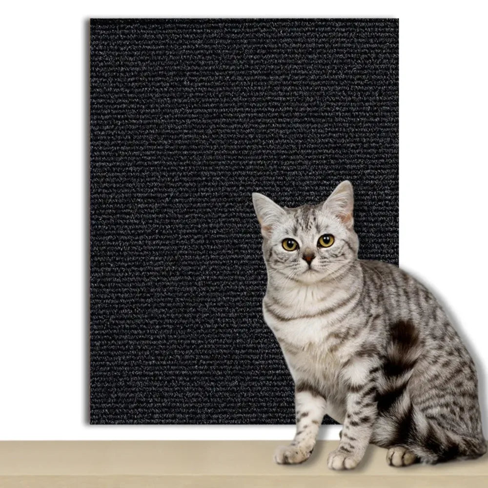 DIY Universal Cat Scratch Guard