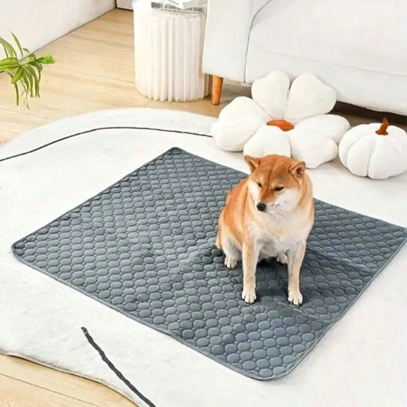 Washable Pet  Mat