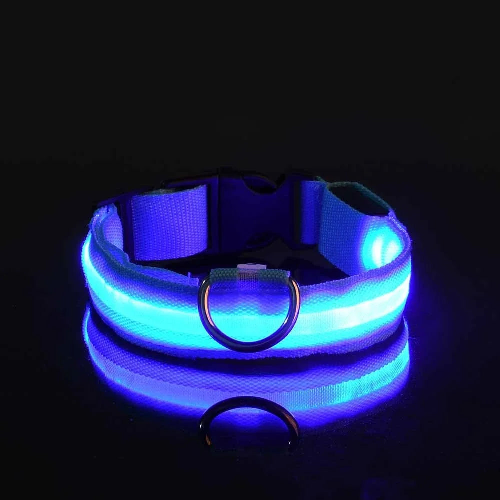 LED Nylon Dog Leash & Collar Set – Glow-in-the-Dark Flashing Pet Gear for Night Safety