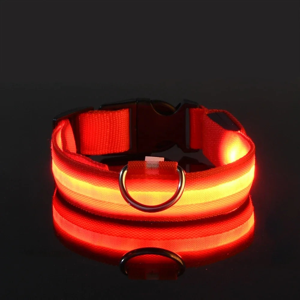 LED Nylon Dog Leash & Collar Set – Glow-in-the-Dark Flashing Pet Gear for Night Safety