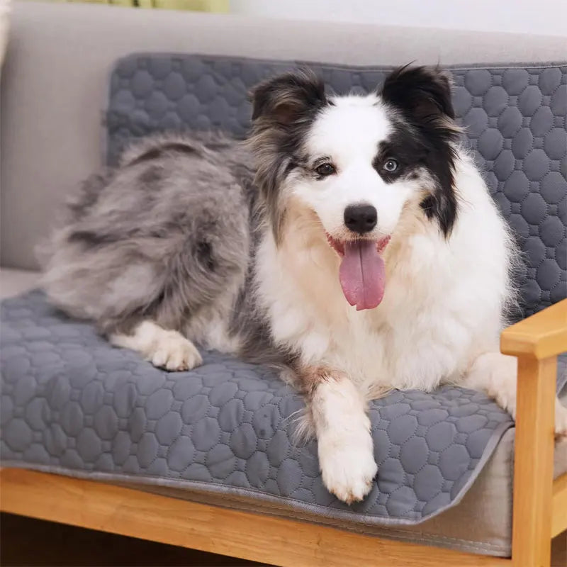 Washable Pet  Mat