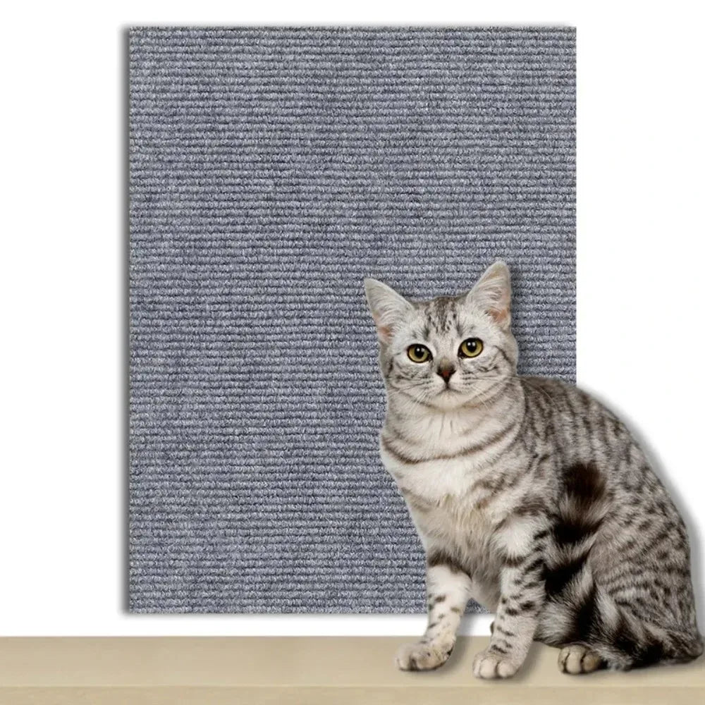 DIY Universal Cat Scratch Guard