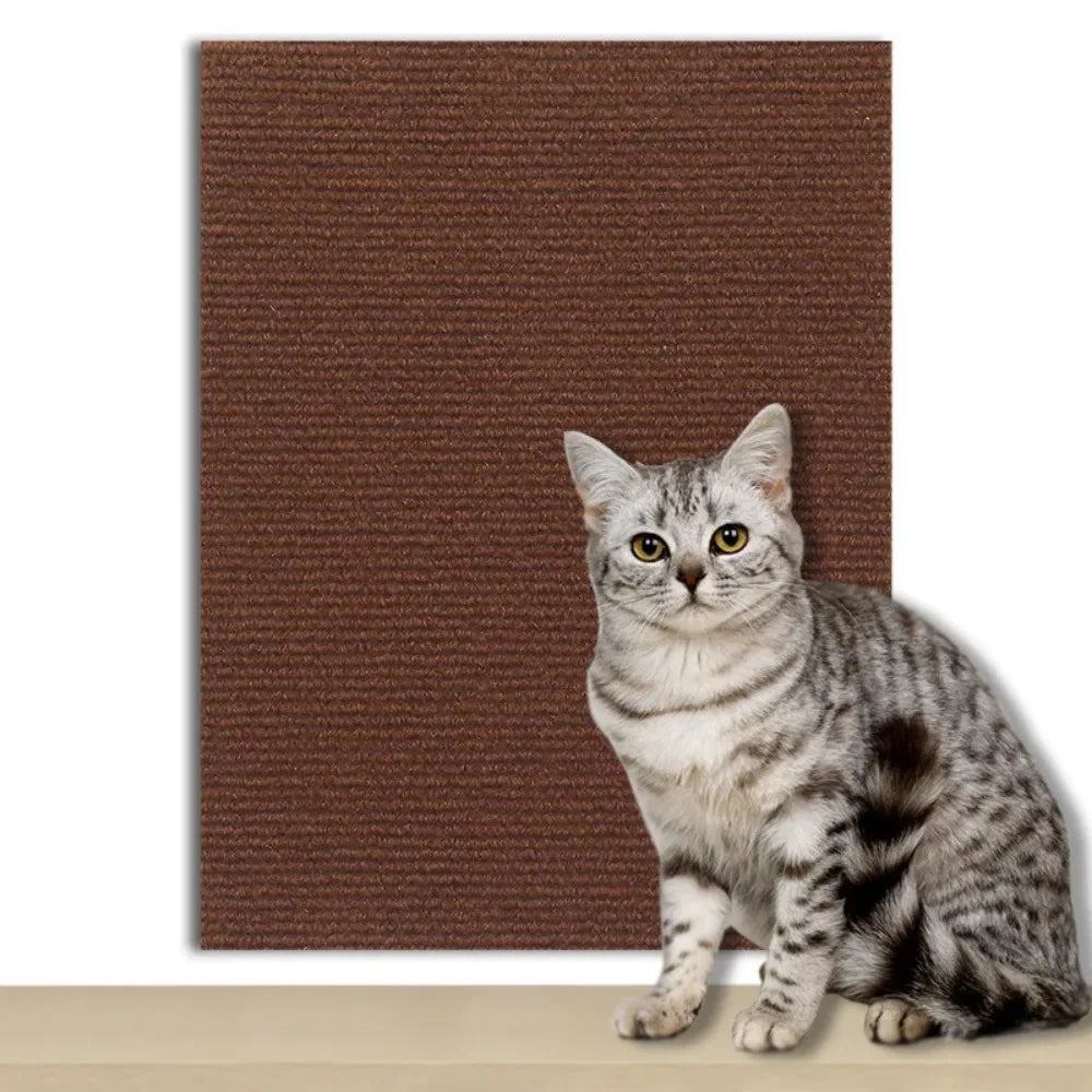 DIY Universal Cat Scratch Guard