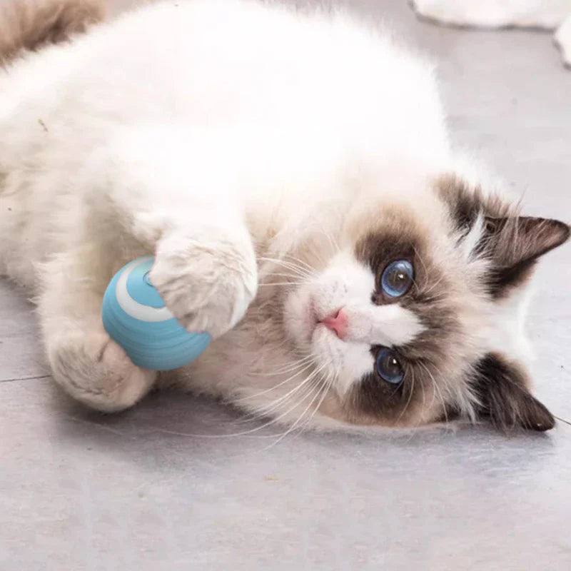 Fabehe Cat Toy - Indoor Automatic Rolling Magic Ball