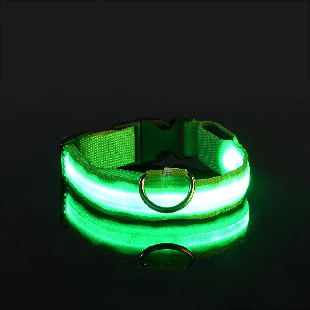 LED Nylon Dog Leash & Collar Set – Glow-in-the-Dark Flashing Pet Gear for Night Safety