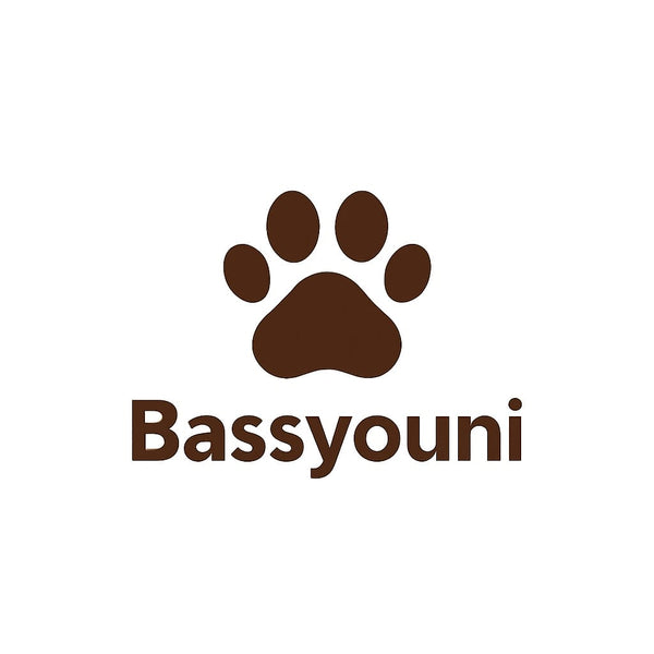 Bassyouni 