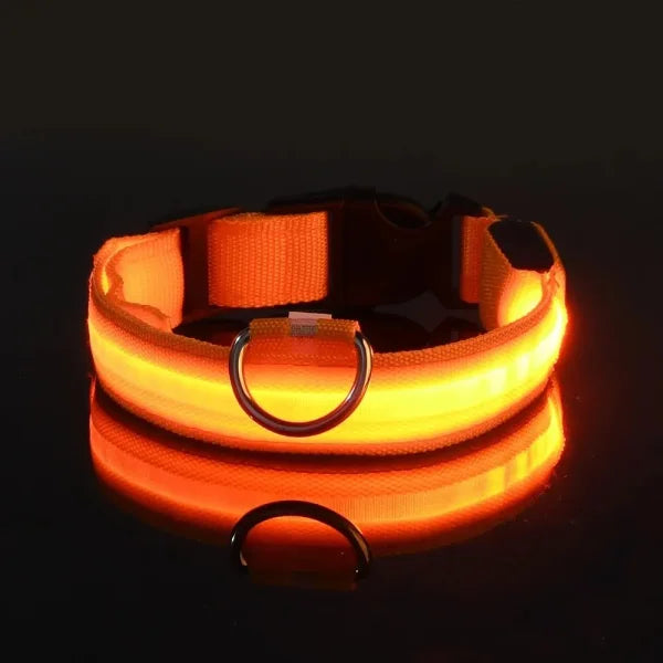 LED Nylon Dog Leash & Collar Set – Glow-in-the-Dark Flashing Pet Gear for Night Safety