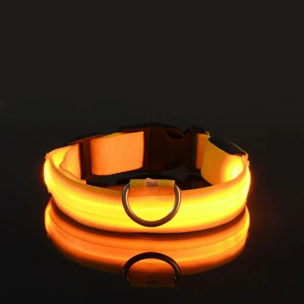 LED Nylon Dog Leash & Collar Set – Glow-in-the-Dark Flashing Pet Gear for Night Safety