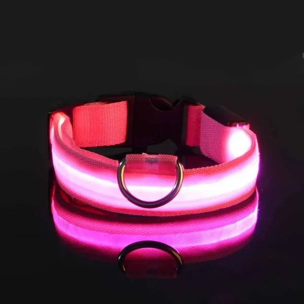 LED Nylon Dog Leash & Collar Set – Glow-in-the-Dark Flashing Pet Gear for Night Safety